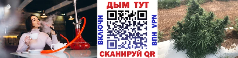 Купить Белозерск КОКАИН  гидра вход  ГАШИШ  АМФЕТАМИН 