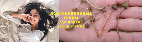 MESCALINE Баксан