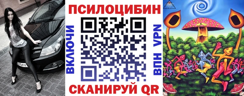 купить  цена  Белозерск  Псилоцибиновые грибы GOLDEN TEACHER 